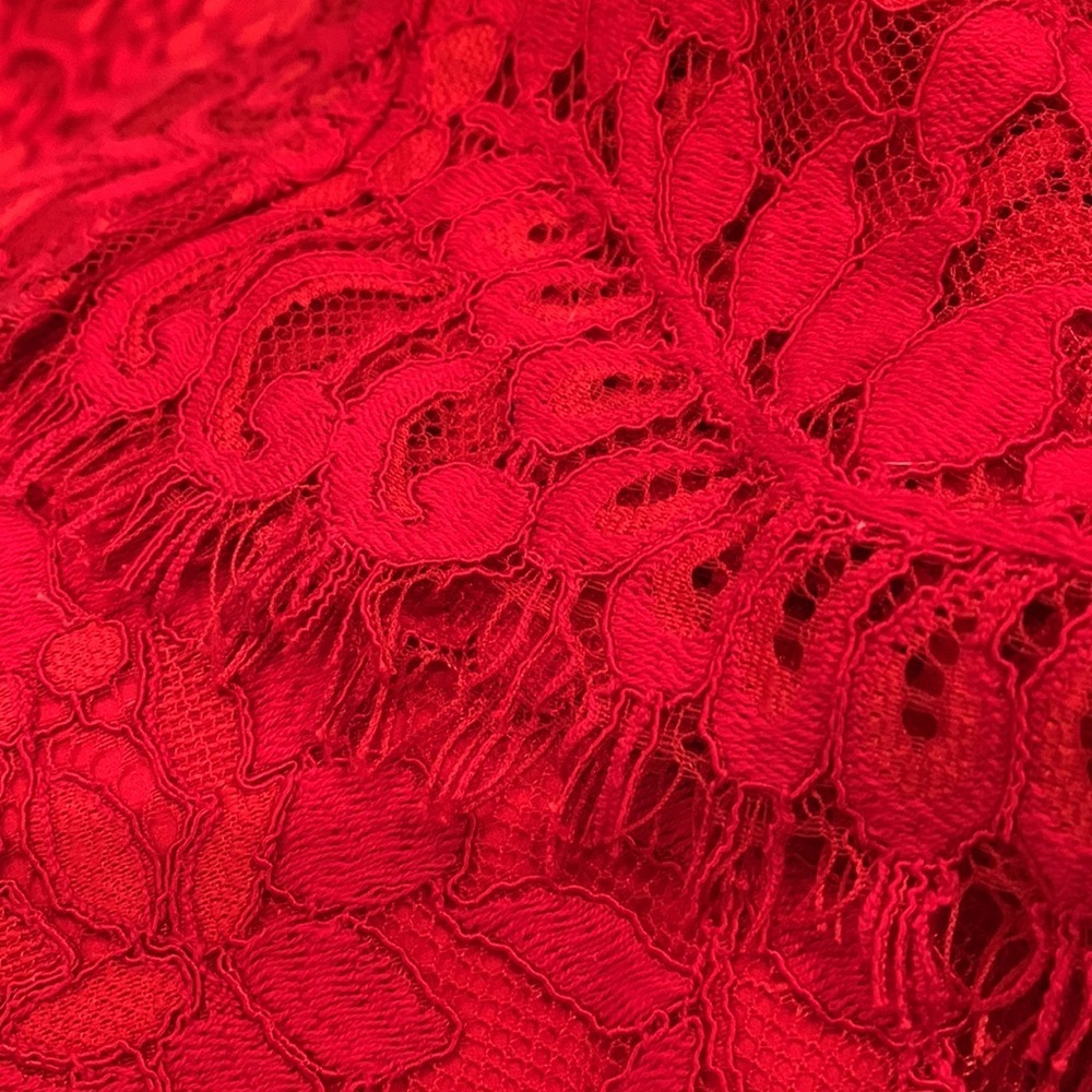 NBD High Rise Red Lace Pants with Frayed Hemline NEW! - Picture 7 of 8